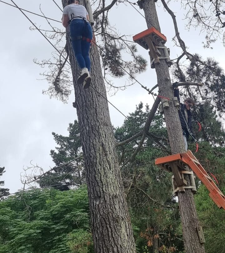 Acrobranch Garden Route-荒野必去景点
