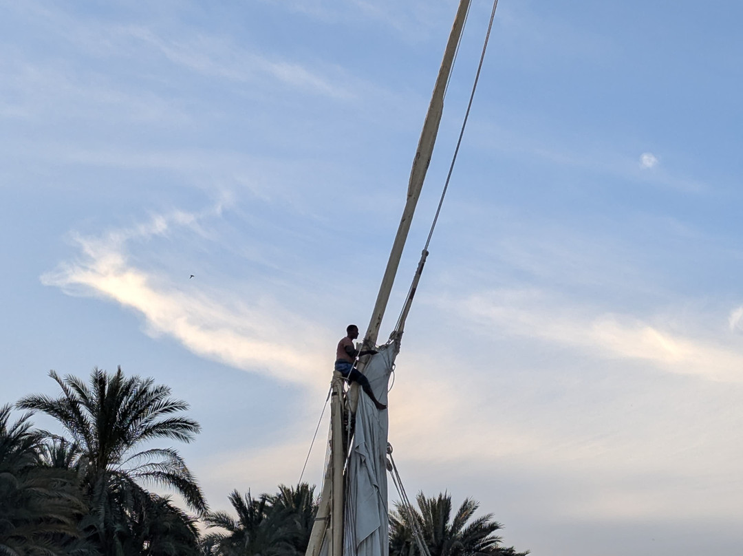 JJ Jamaica Felucca-亚斯文必去景点