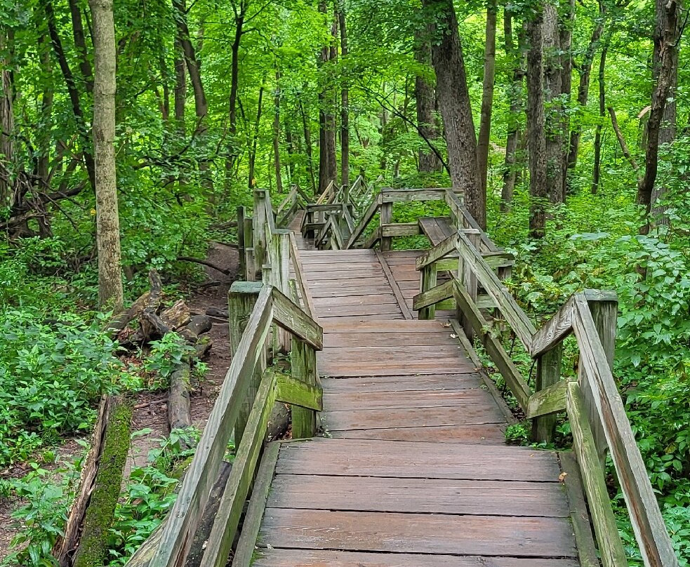 Matthiessen State Park-尤蒂卡必去景点