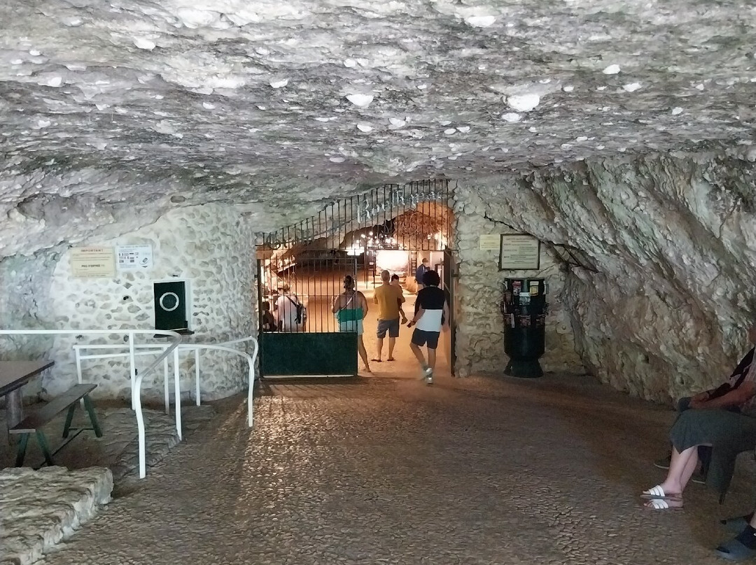 Rouffignac Cave-Rouffignac-Saint-Cernin-de-Reilhac必去景点