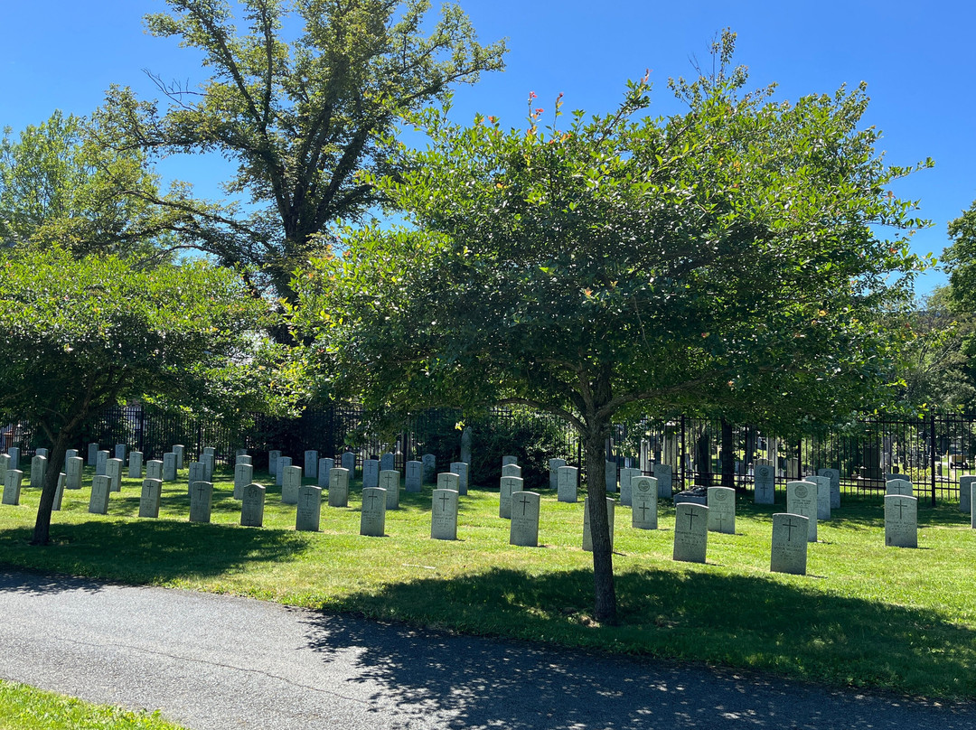 Fort Massey Cemetery-哈利法克斯必去景点