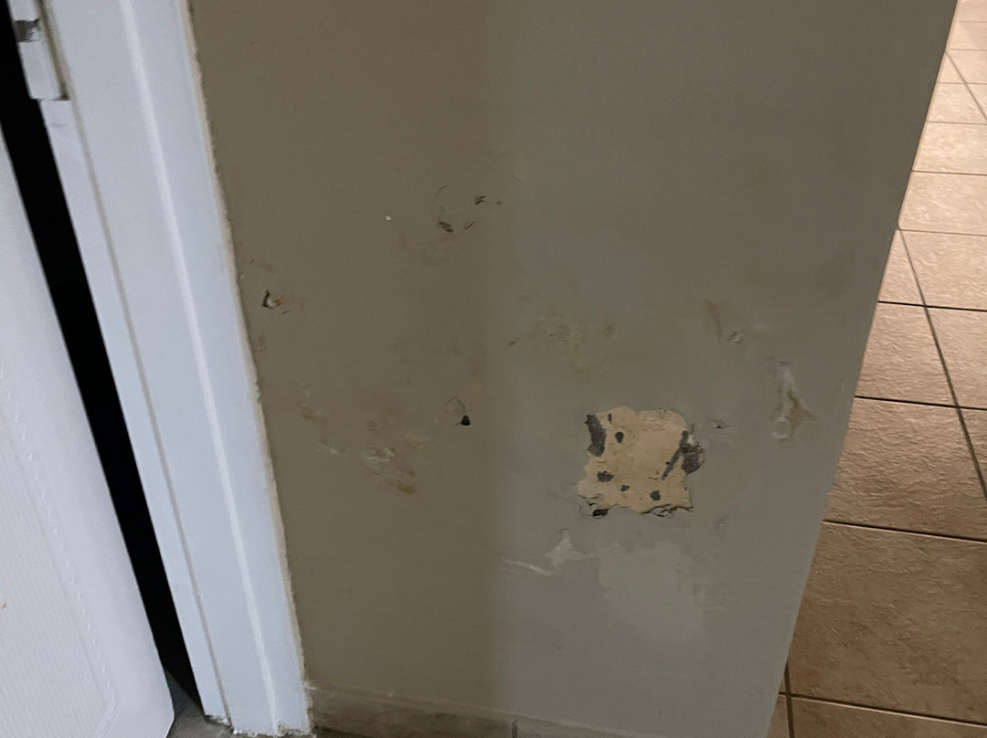 Midlands Saddle & Trout Resort主图