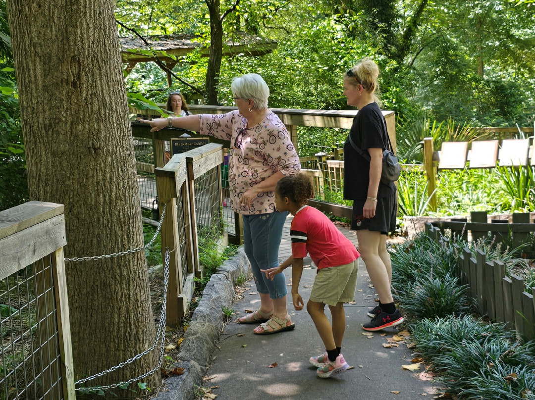 Bear Hollow Zoo-阿森斯必去景点