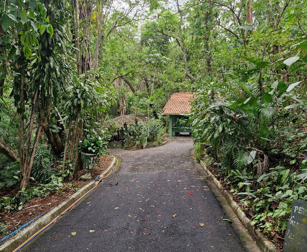 Mini-Horto-Aguas de Sao Pedro必去景点