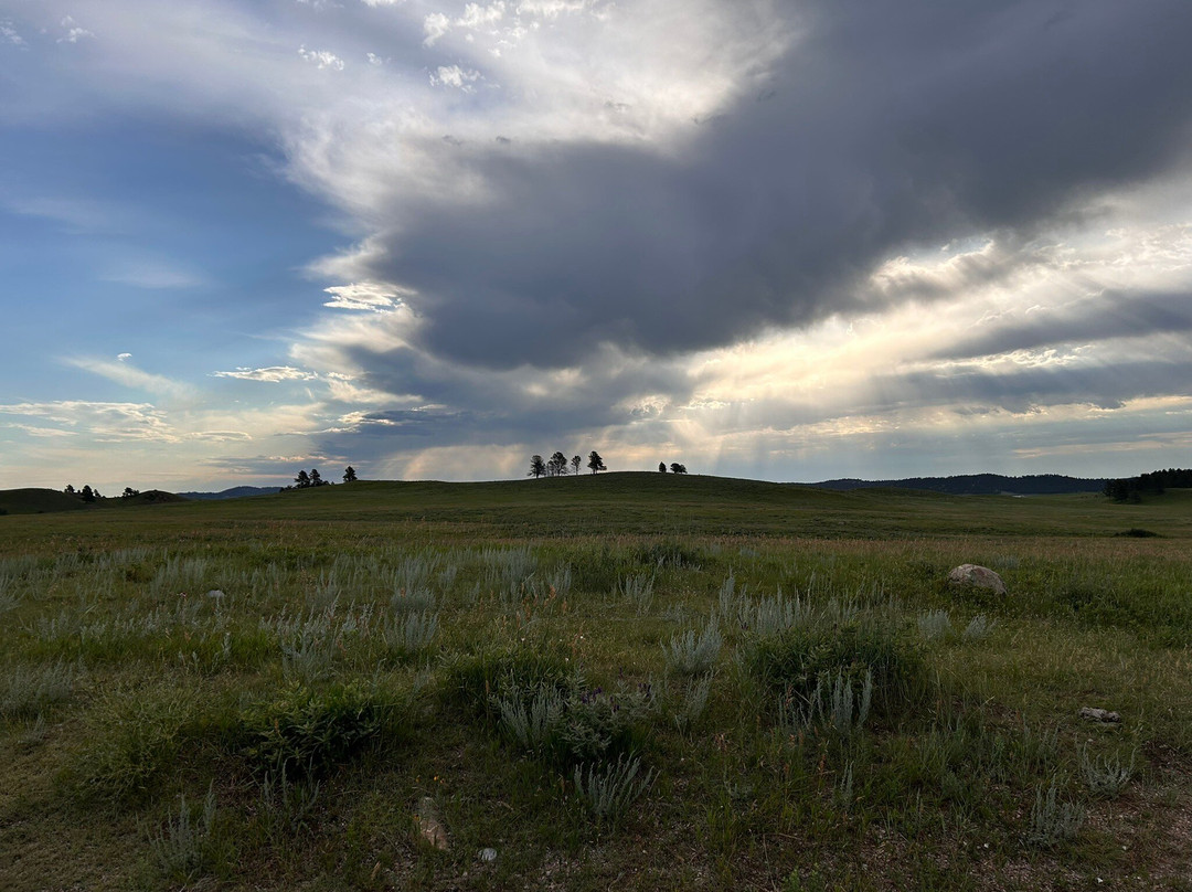 Black Hills Tour Company-拉皮德城必去景点