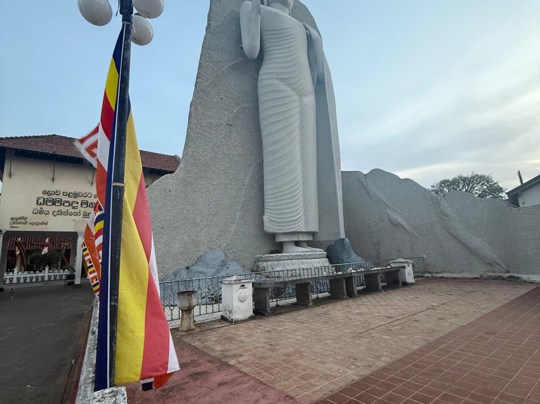 Vira Ceylon Tours & Travels-米迪加玛必去景点