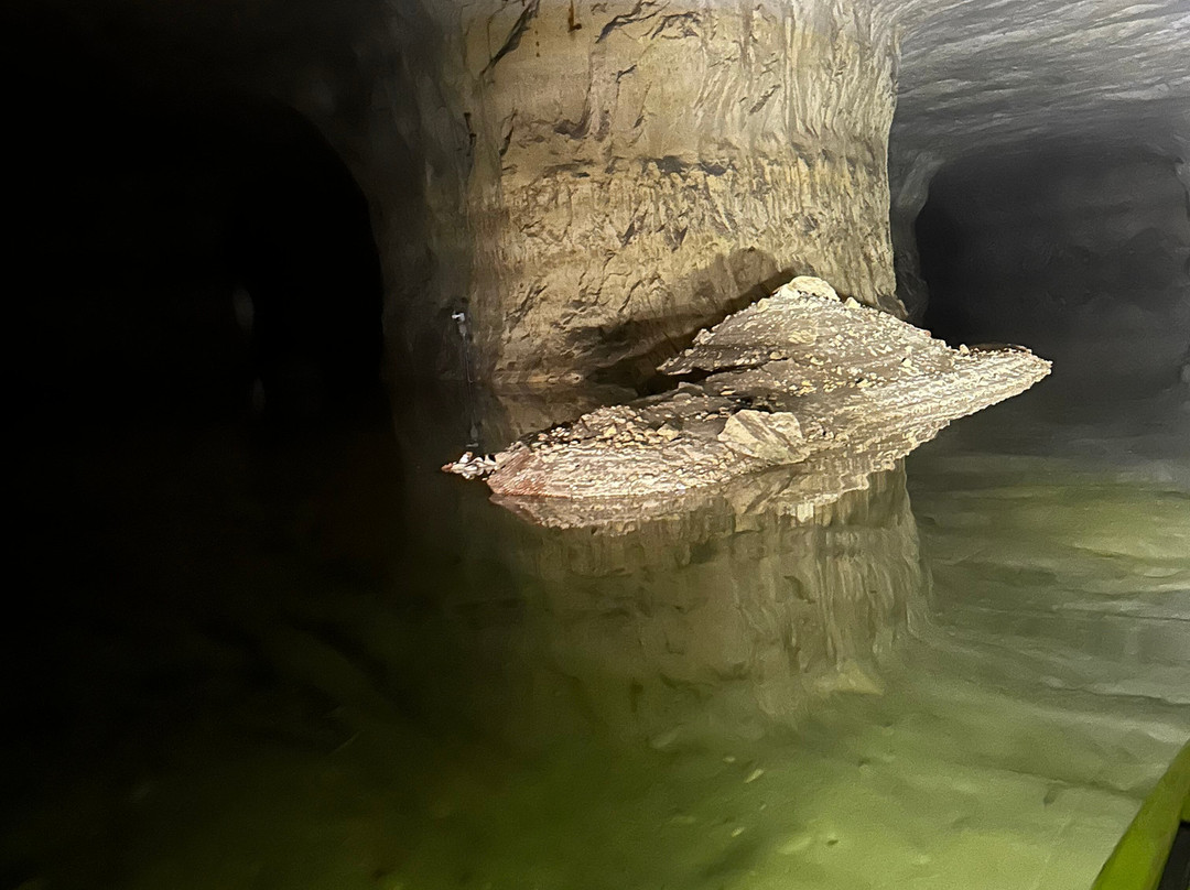 Crystal City Underground-Crystal City必去景点