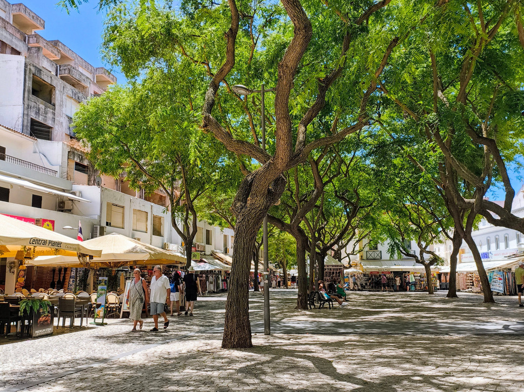 The Algarve Experience – Algarve airport Transfers-阿尔布赞拉必去景点