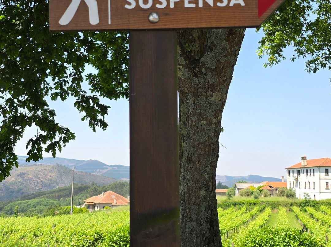 516 Arouca - Ponte Suspensa-阿洛卡必去景点