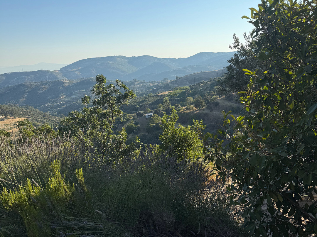 Kirkinca Hotel主图