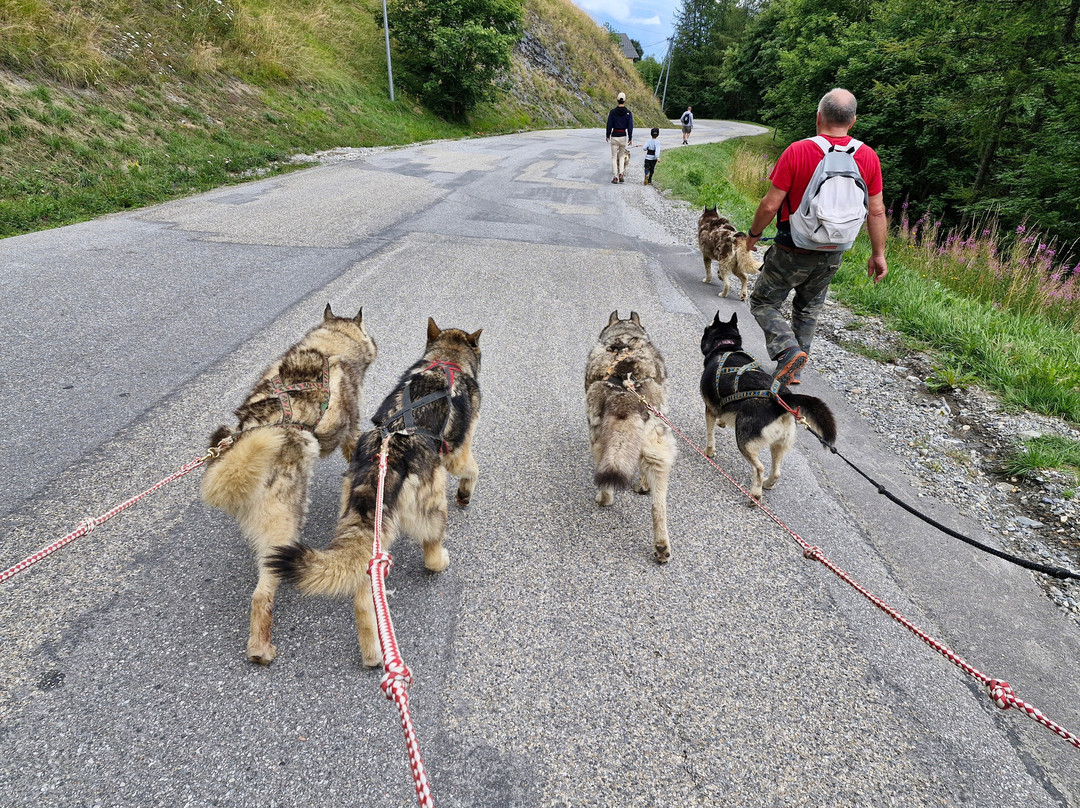 White Forest-Fontcouverte-la-Toussuire必去景点