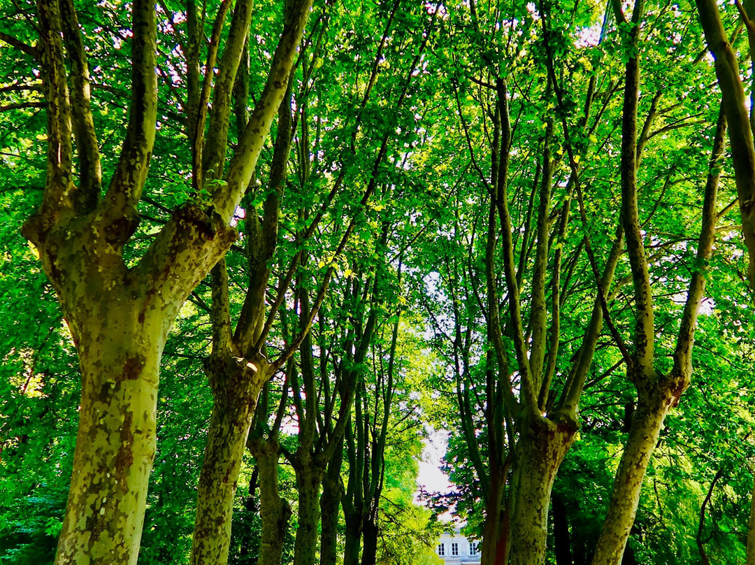 Château Mazeyres-利布尔纳必去景点