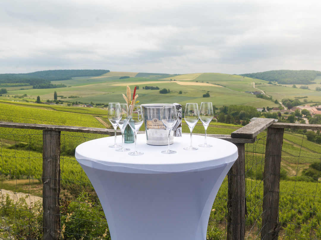 Drive in Motion - Automotive Events-柏林必去景点