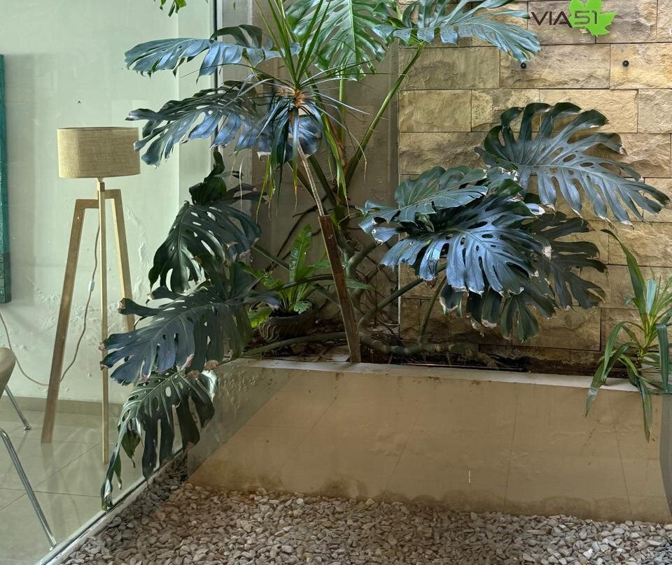 Apart Hotel Via 51主图