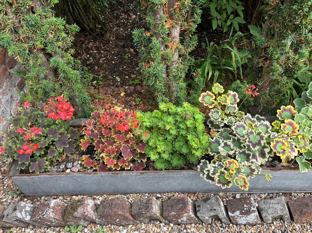 Lullingstone Castle & The World Garden-Eynsford必去景点