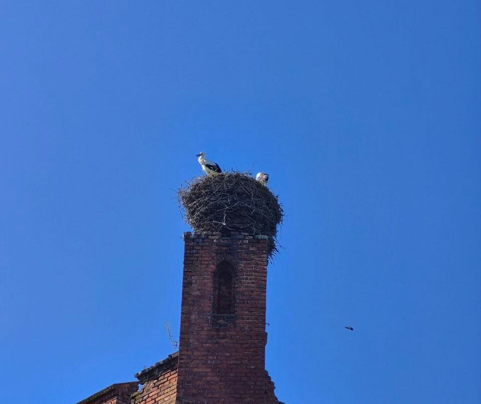 Shaaken Castle-Nekrasovo必去景点
