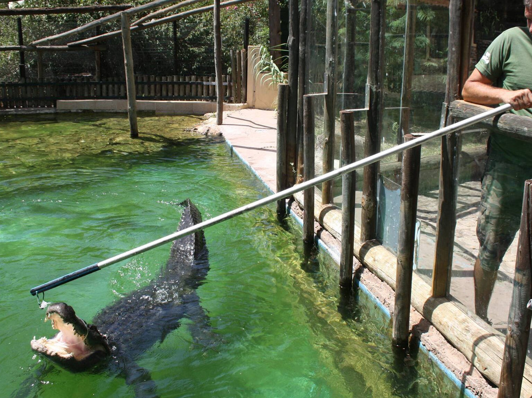 Krazy World Zoo-Algoz必去景点