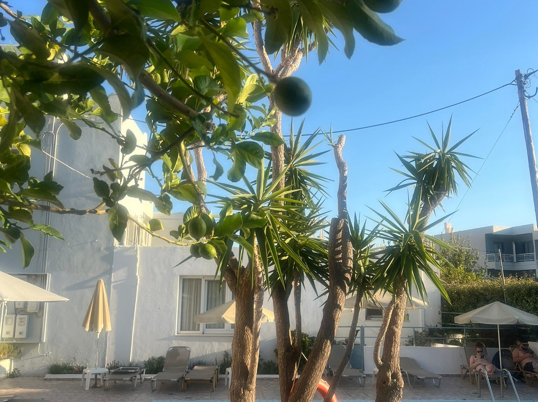 Costas & Chrysoula主图