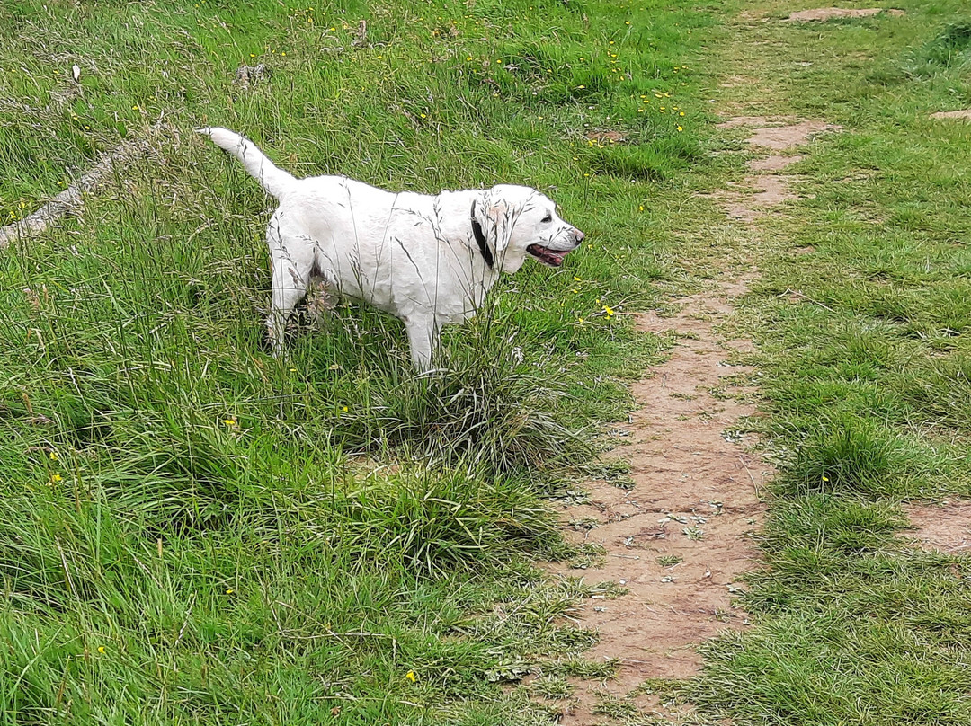 Chesworth Farm-霍舍姆必去景点