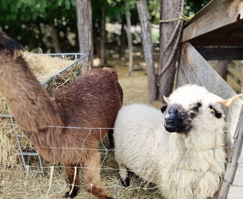 La Ferme Du Facteur Enchantée-Hauterives必去景点