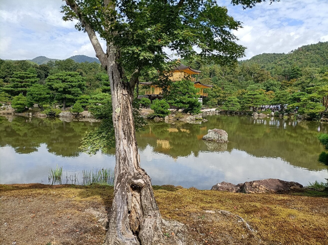 Okazaki Service Area-冈崎市必去景点