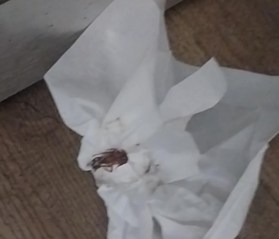 Quality Inn Conyers I-20主图