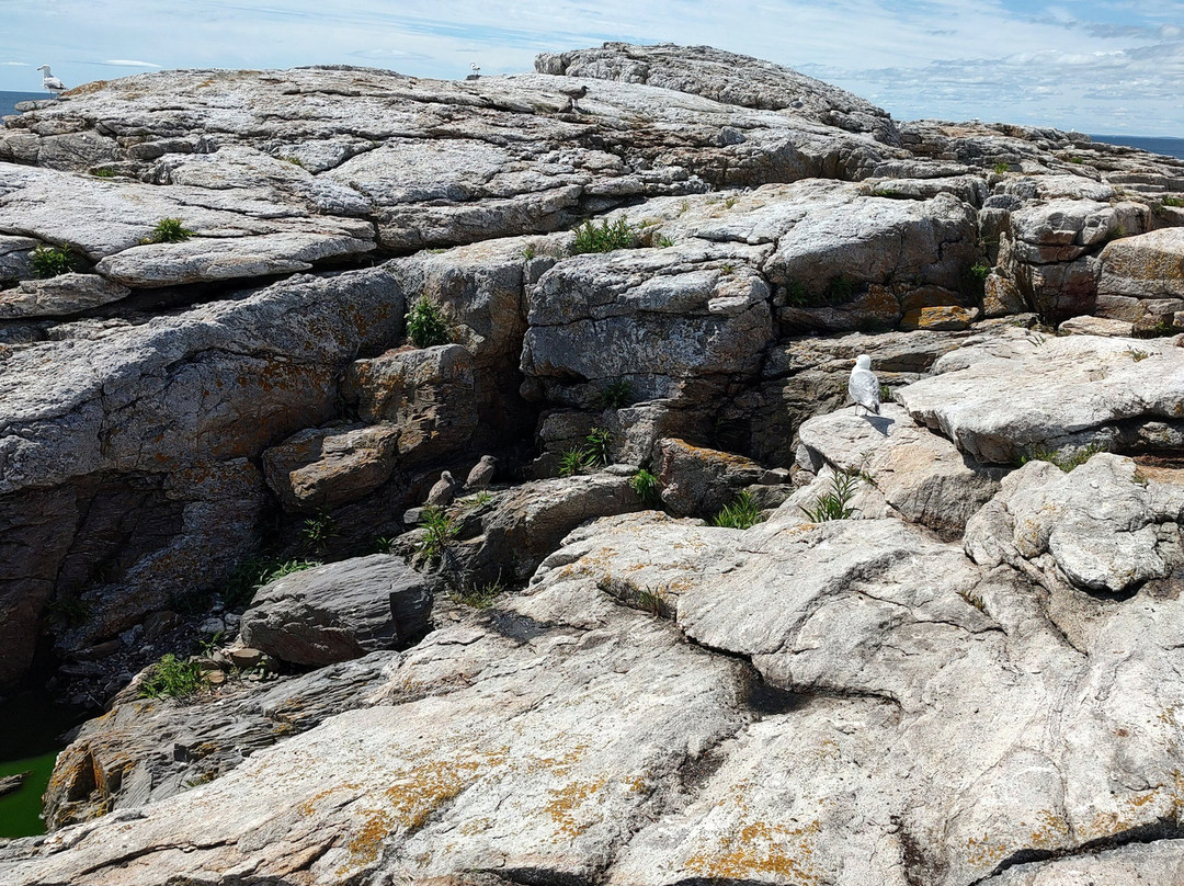 Isles of Shoals-朴次茅斯必去景点