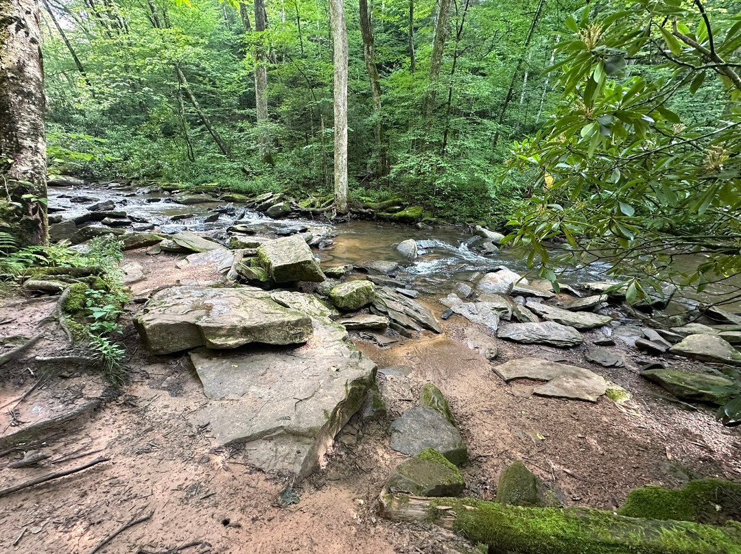 Falls of Hills Creek-Hillsboro必去景点
