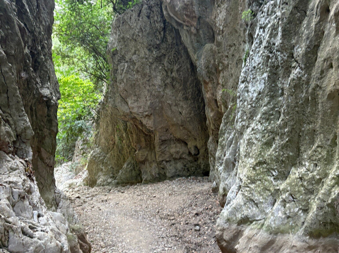 St. Anthony Gorge (Gorge of Patsos)-Patsos必去景点