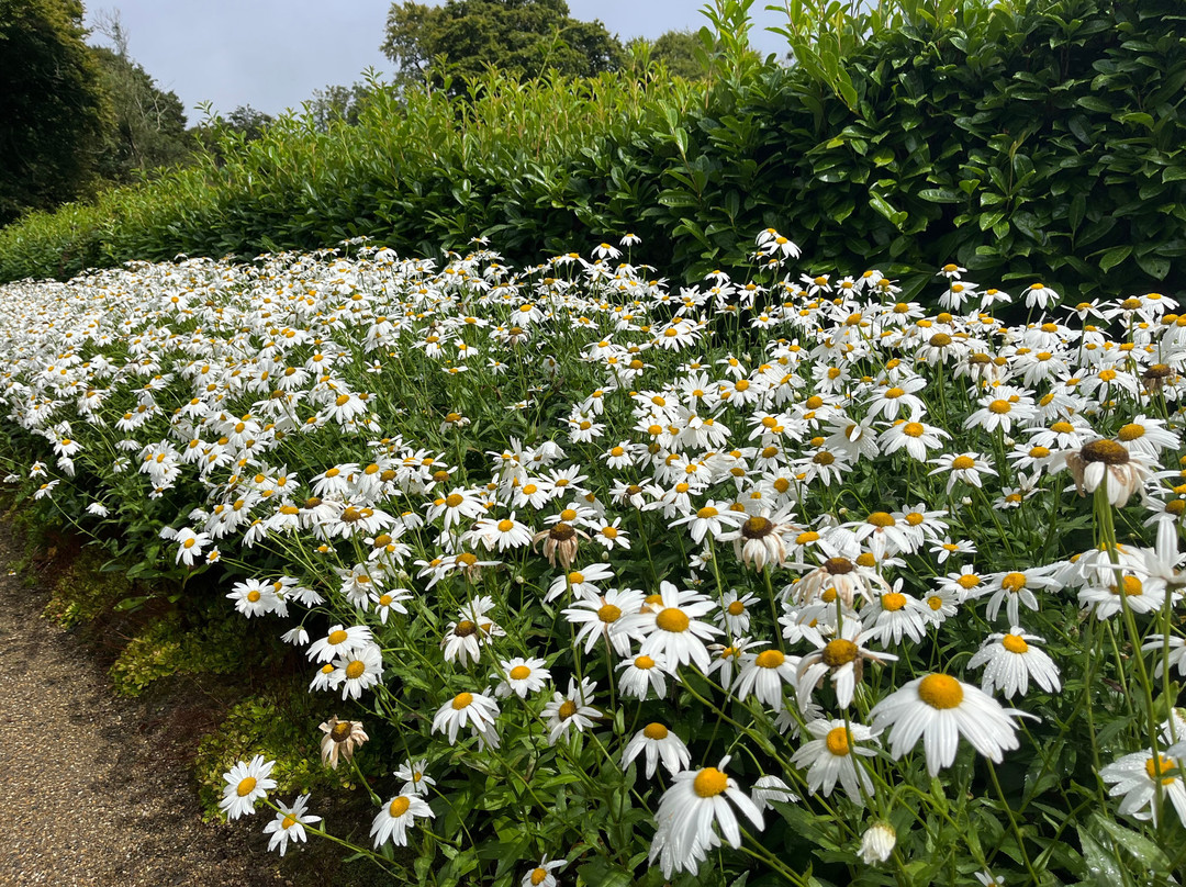 Colclough Walled Garden-Saltmills必去景点