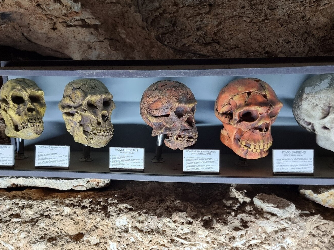 Prehistoric Cave Cueva de las Calaveras-Benidoleig必去景点