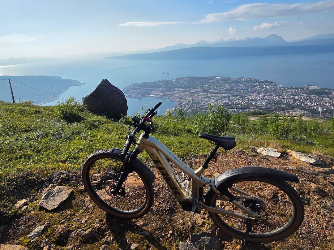 Day Out Narvik-纳尔维克必去景点