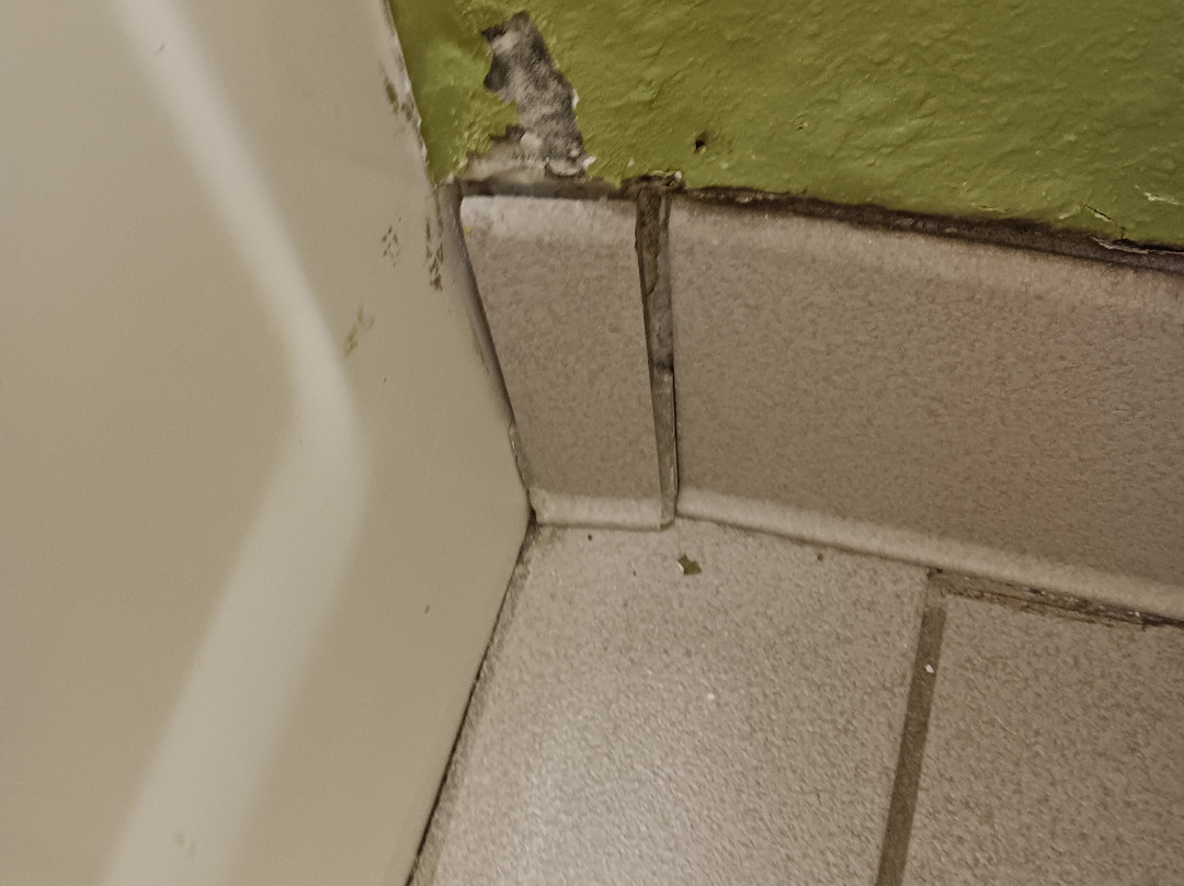 Microtel Inn & Suites by Wyndham Auburn主图