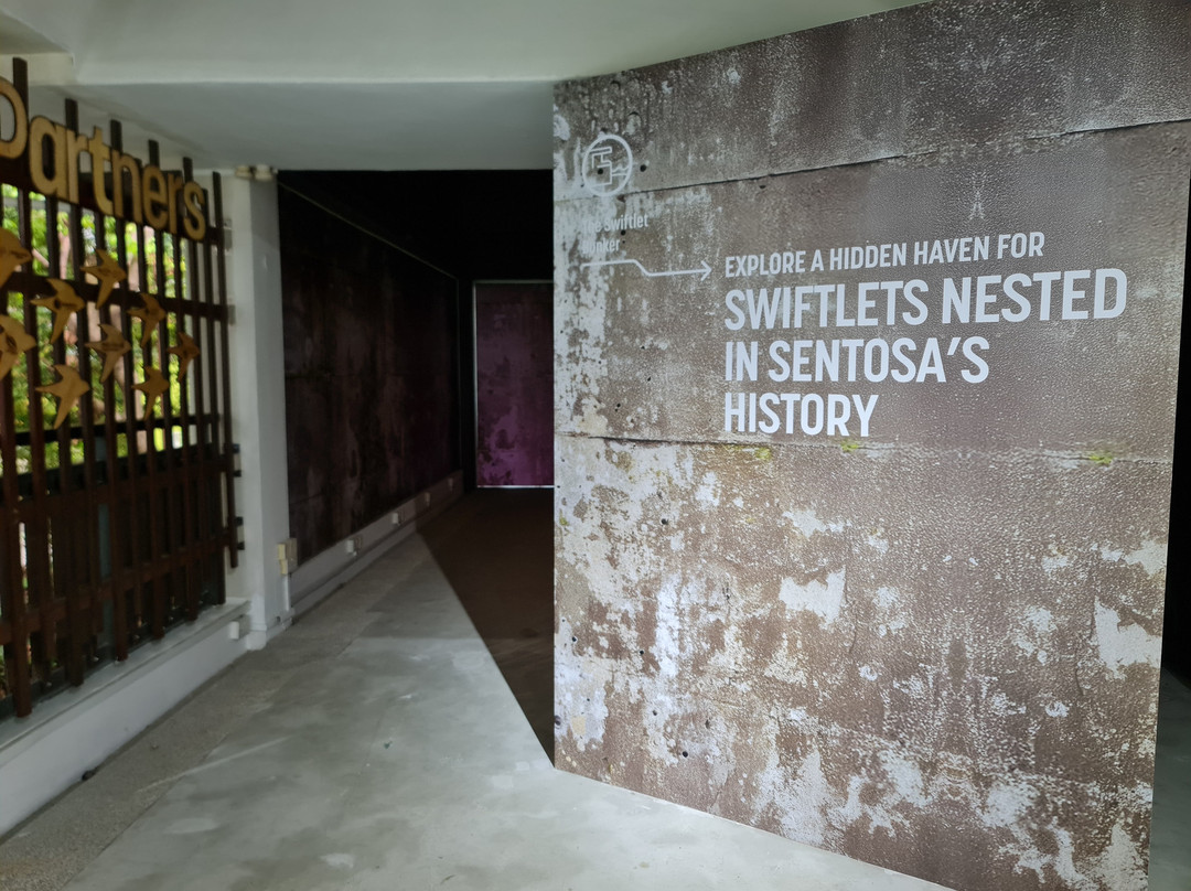 下畅游圣淘沙自然探索中心