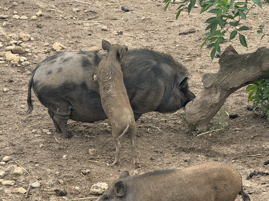 Domaine de Bel-Air-Le Landeron必去景点