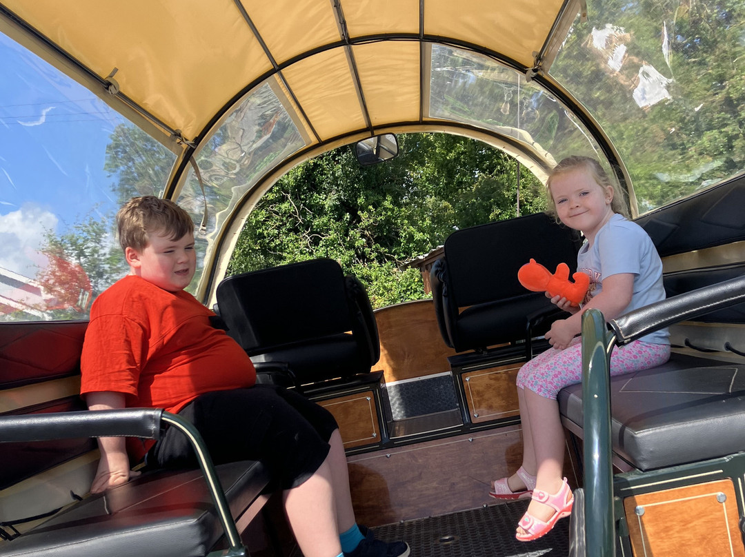 Red Mountain Open Farm-Donore必去景点