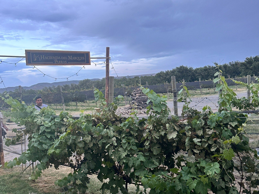Vinicola Hacienda del Marqués-Parras de la Fuente必去景点