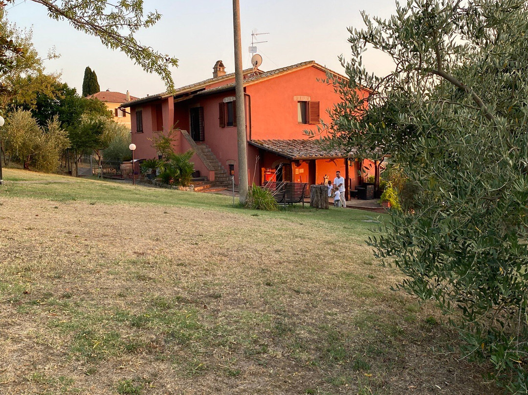 Agriturismo Tenuta San Savino delle Rocchette主图