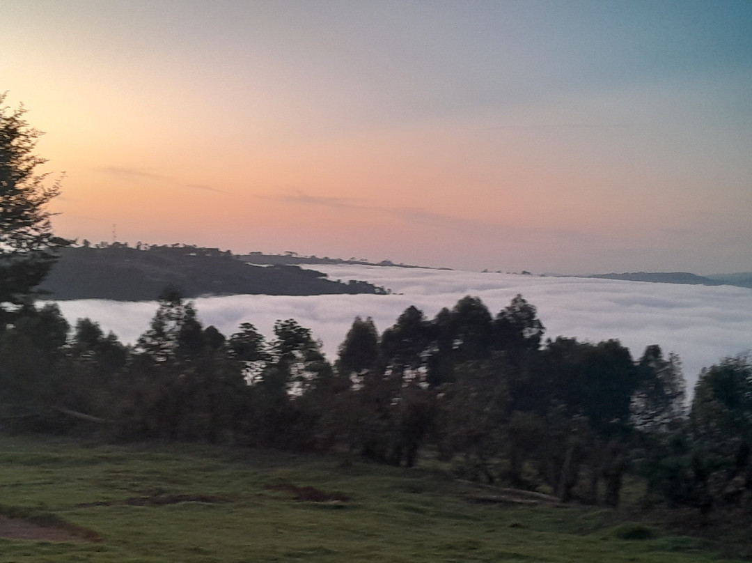 Gatatu Safaris-卡巴莱必去景点