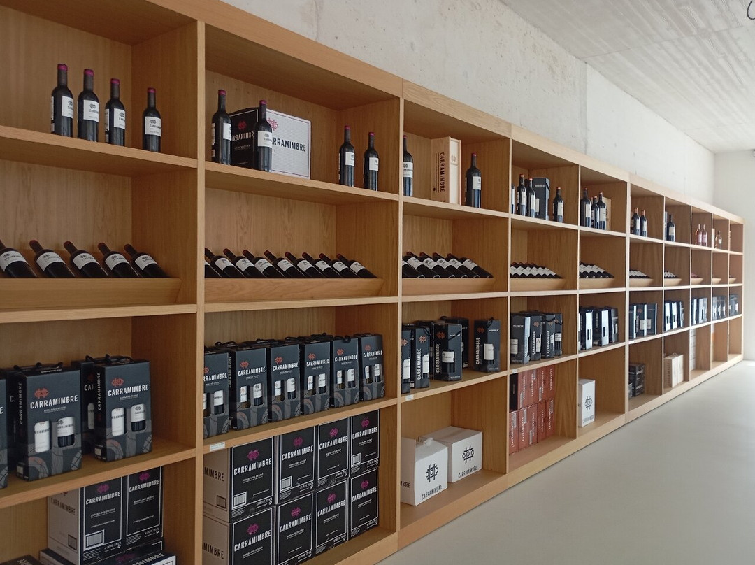 Nexus Valladolid Suites & Hotel主图