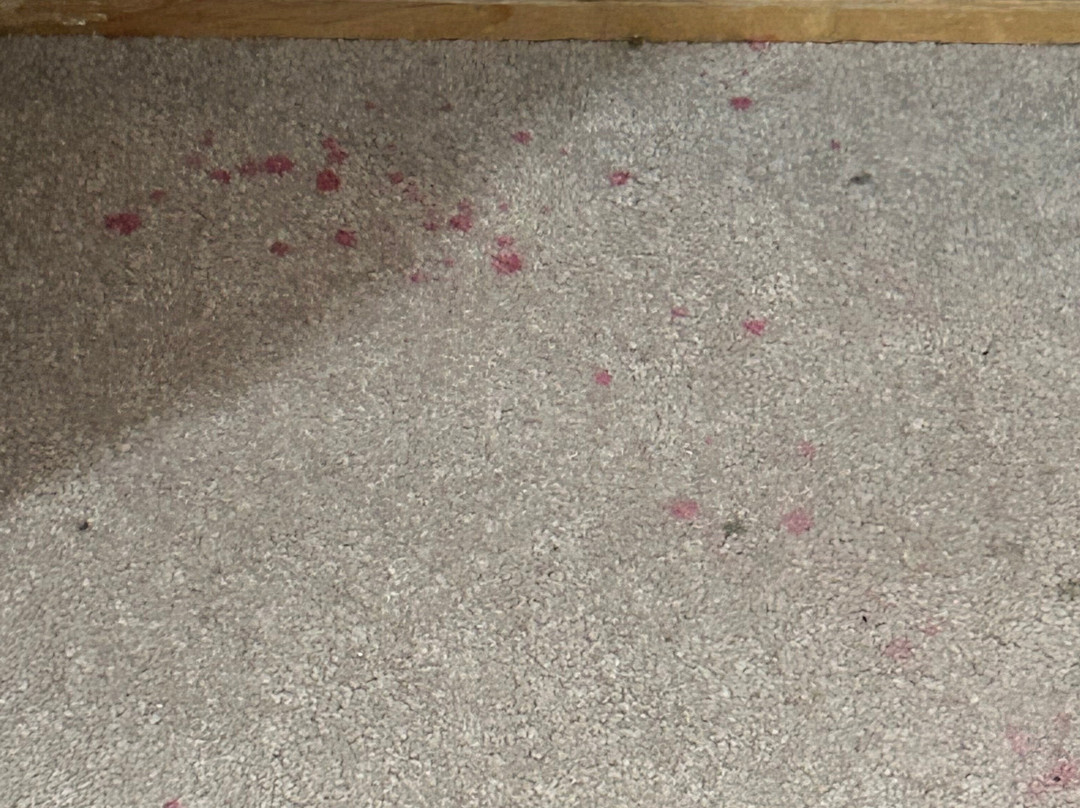 Sponars Chalet主图