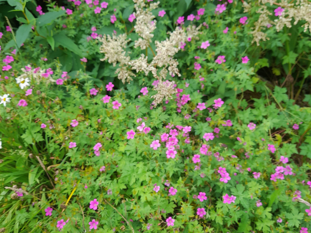 Knockando Woolmill-阿伯劳尔必去景点