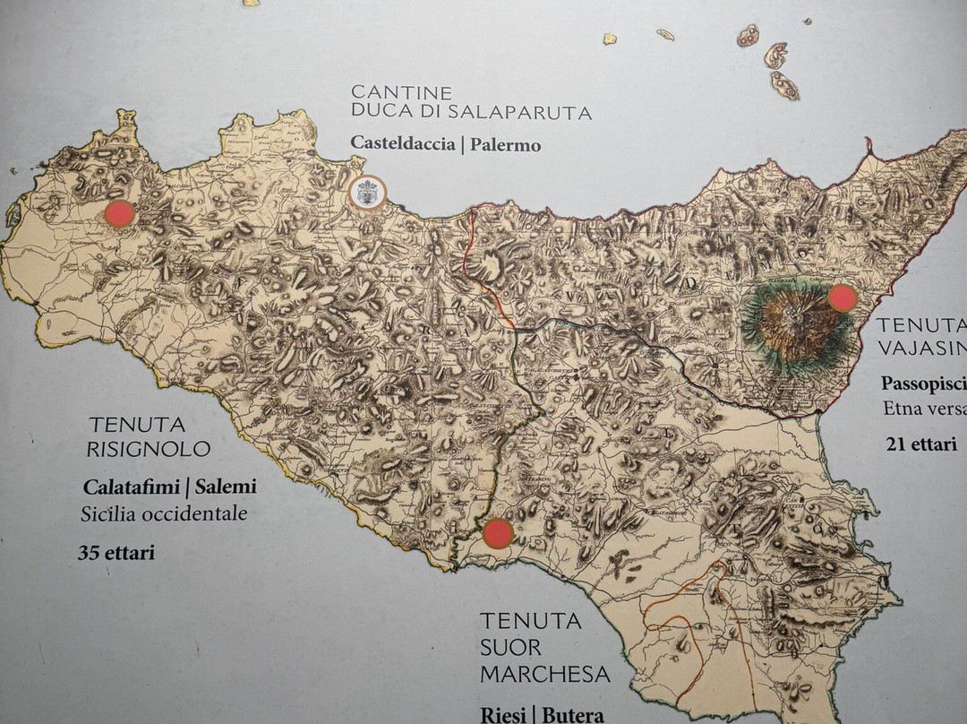 Duca Di Salaparuta Cantine-巴勒莫必去景点