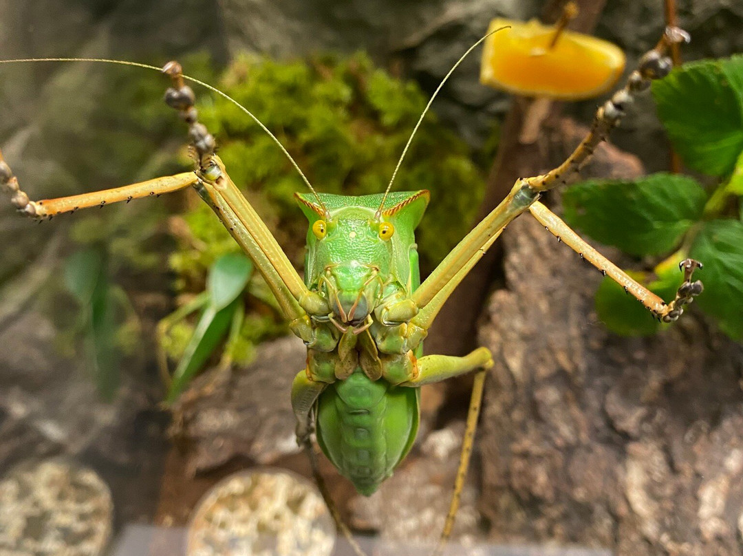 Riga Zoo-里加必去景点