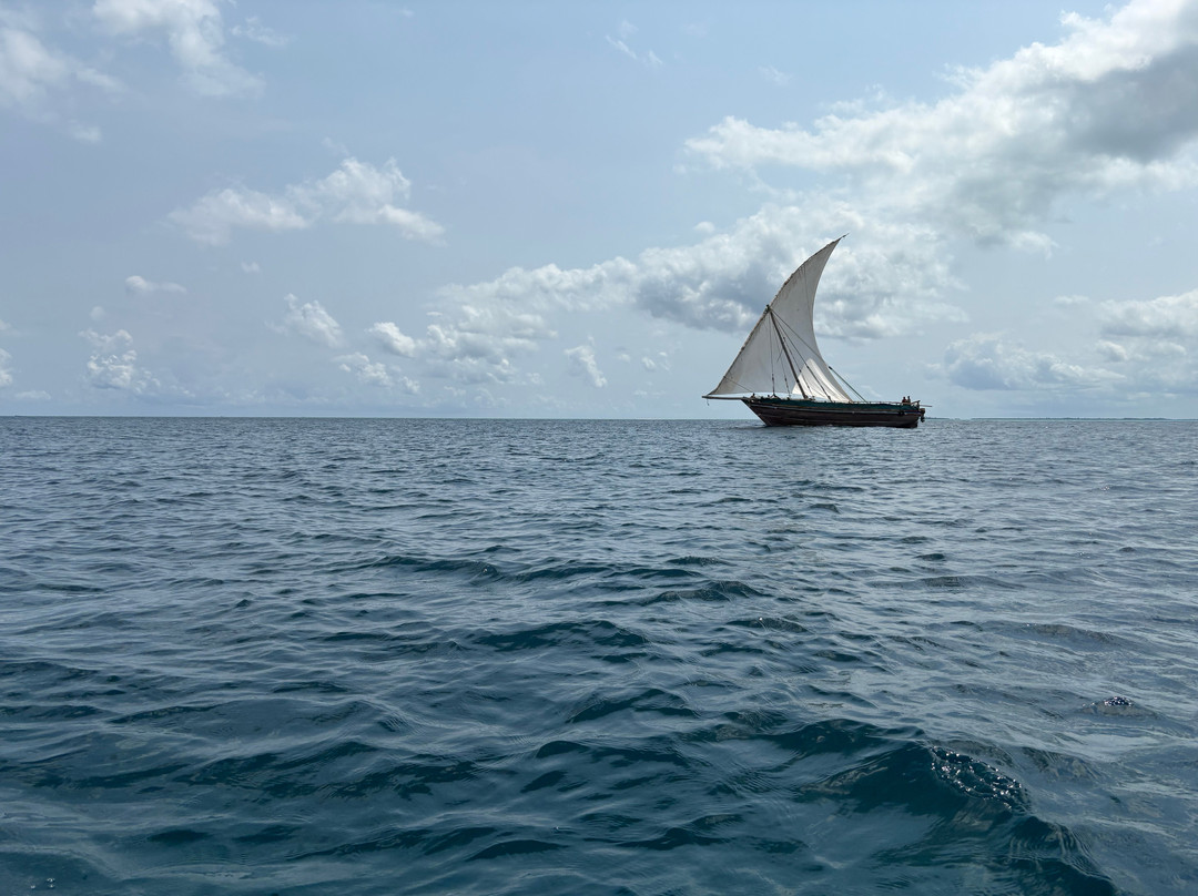 Zanzibar Yacht Charter-孥归必去景点