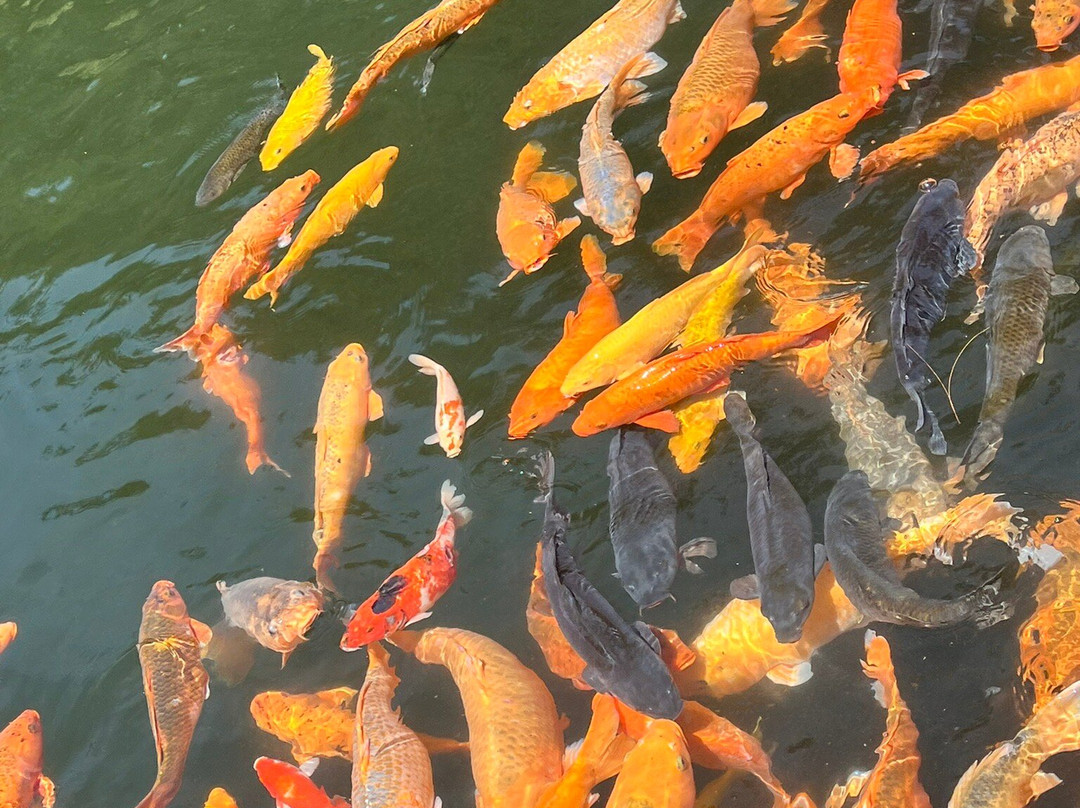 Pura Tirta Empul Segara Merta Sari-沙努尔必去景点