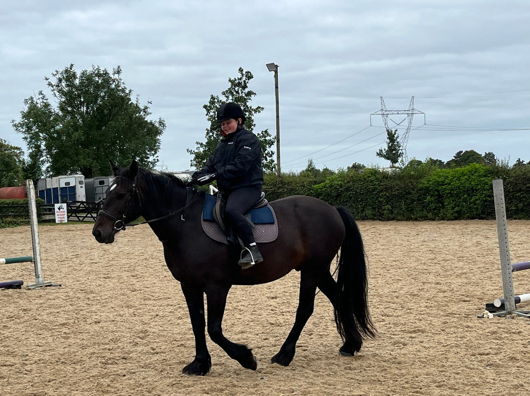 Annaharvey Farm Equestrian Centre-Tullamore必去景点
