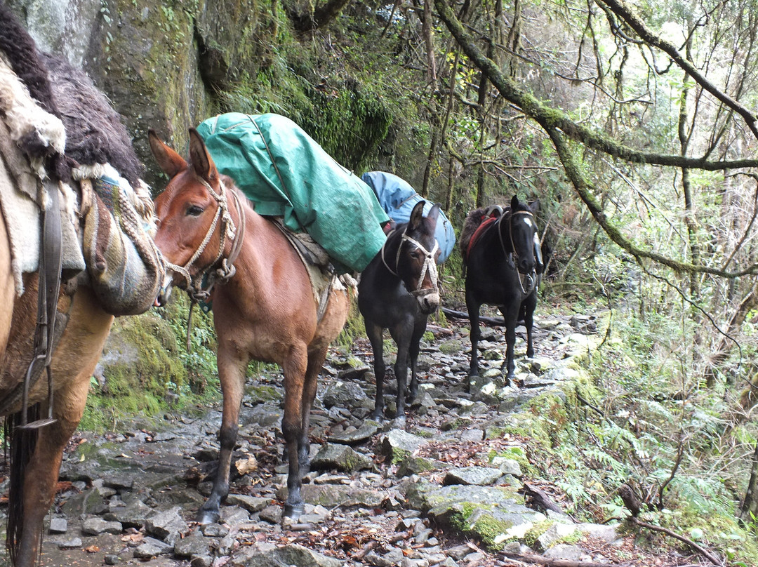 Turismo Explora Cochamó