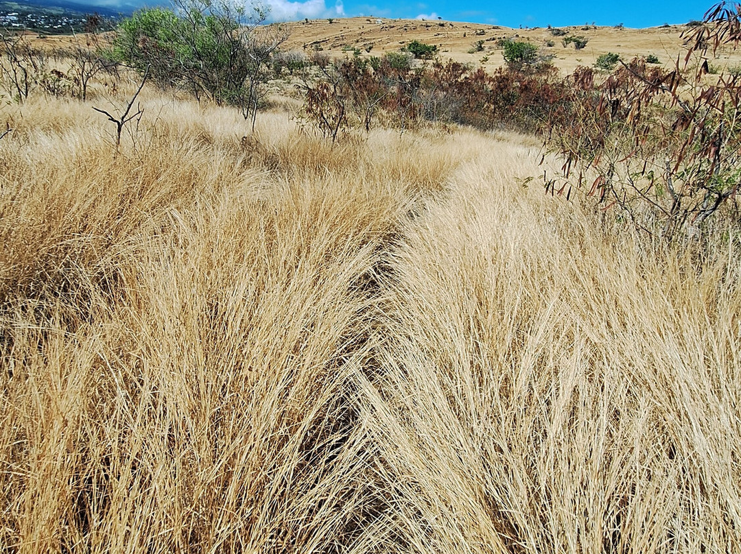 Cap La Houssaye-圣保罗必去景点