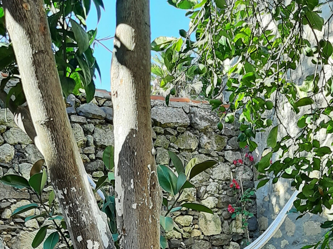 B&b Profumo Di Calicanto